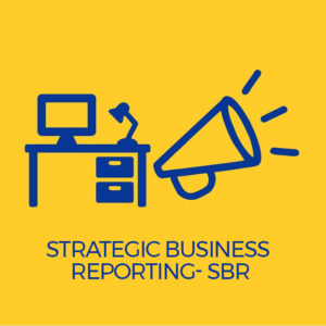 Strategic Business Reporting SBR