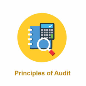 ATS Principles of Auditing